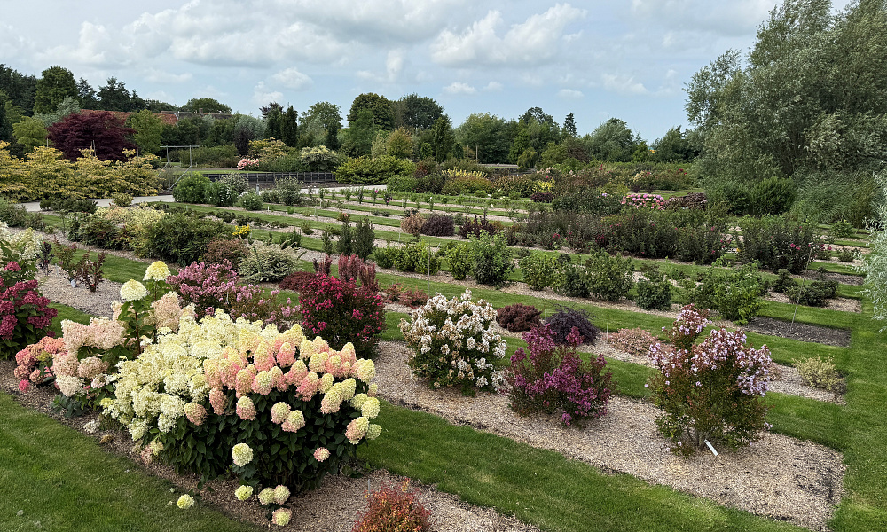 proeftuin aug 2025 1