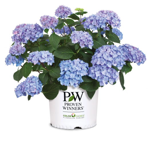 f84ec34bdabcaf503834208f66de6de5