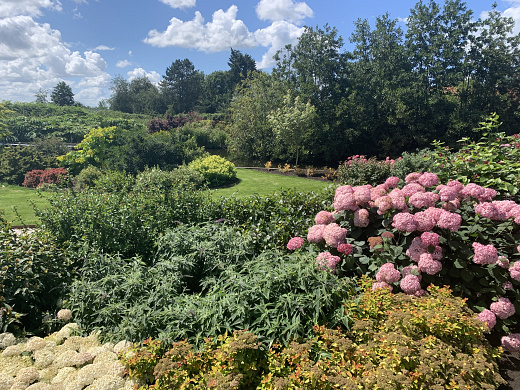 valkplant   showtuin 3