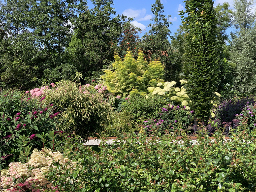 valkplant   showtuin 4