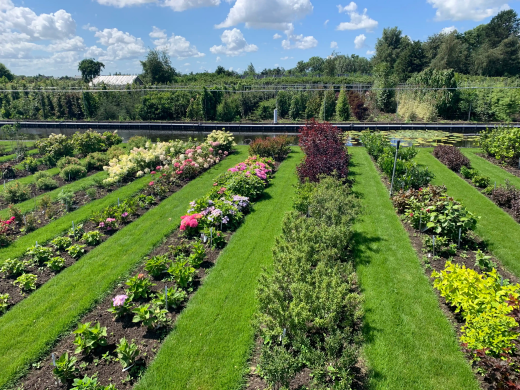 008efae03d264c03fedc332b29566064