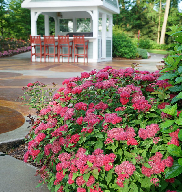 Double Play<sup>®</sup> Doozie<sup>®</sup>