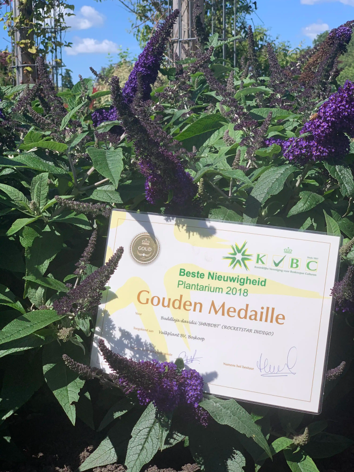 31d6d37538694292302d110b18adf647